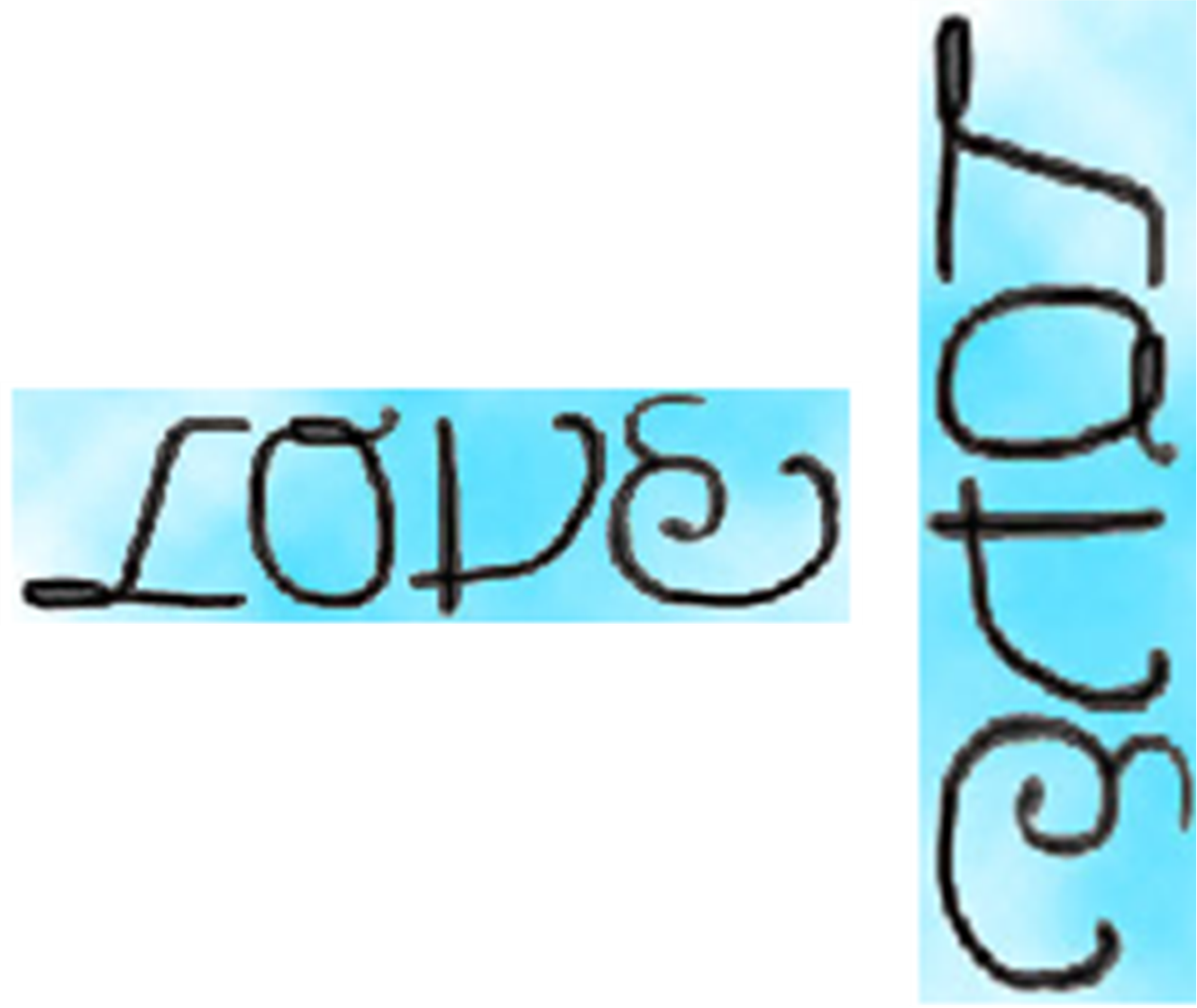 FROM SINGLE  TO MULTIPLE  PERSPECTIVE  APPROACH